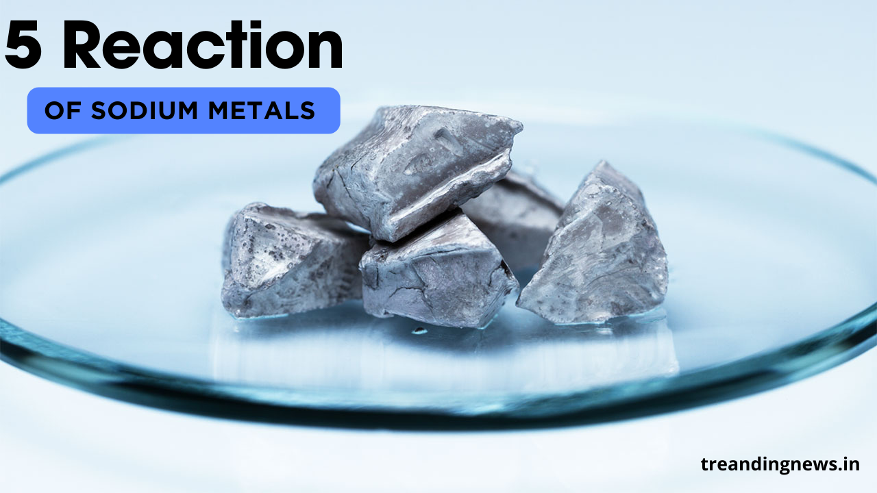 5 the reaction of sodium metals that will surprise you Class 9.