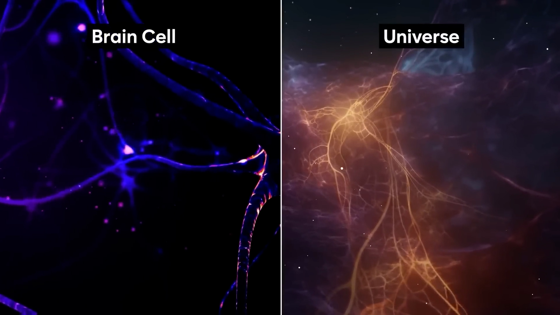 Does your brain connect with the universe? Do you know 10 facts about your Brian and Galaxy?