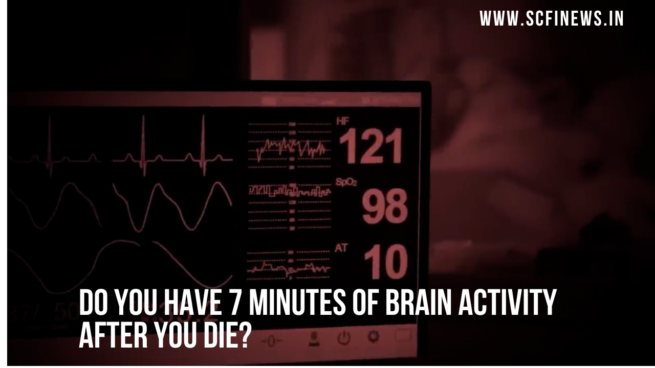 Do you have 7 minutes of brain activity after you die?